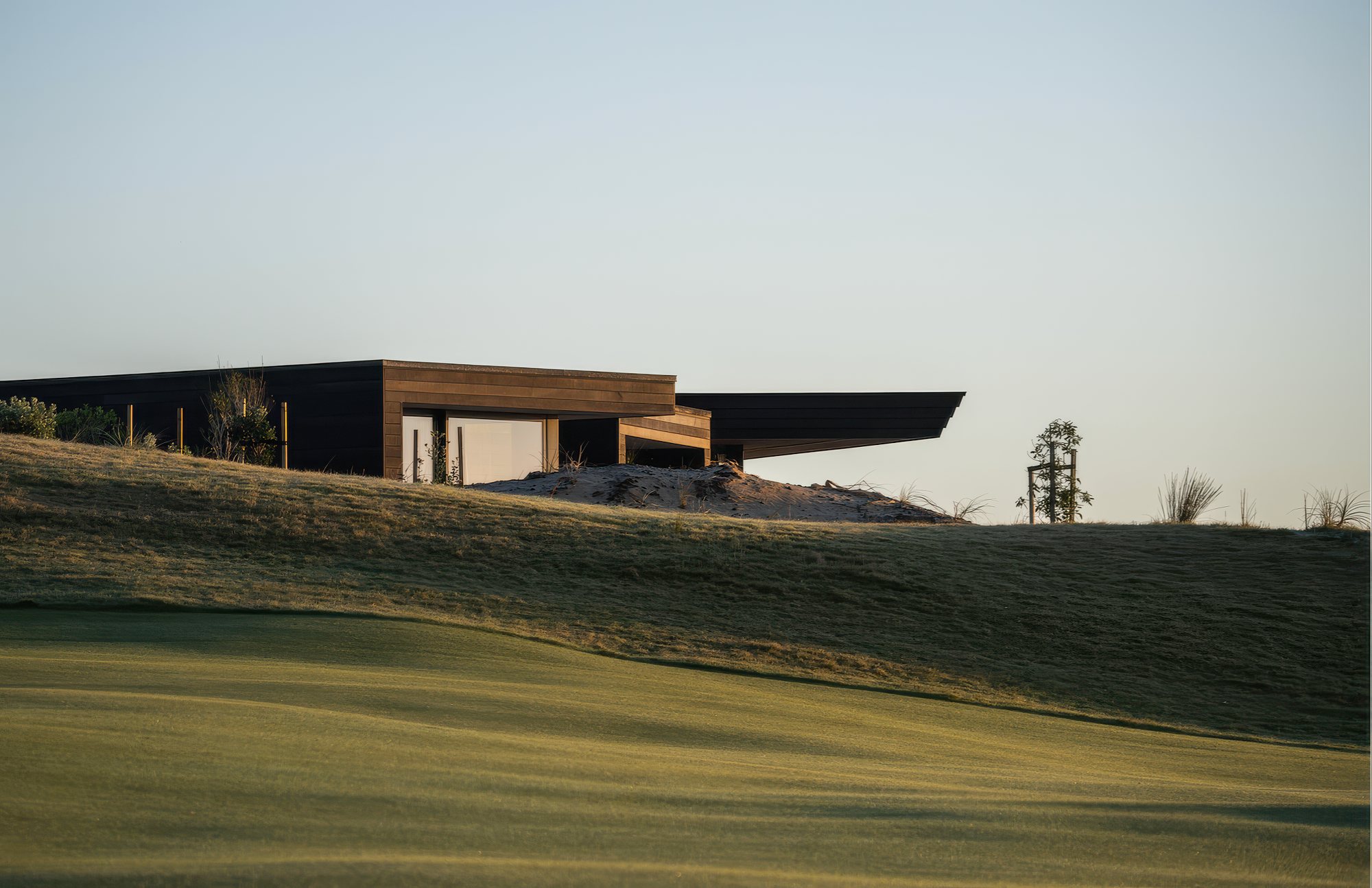 Whaitere seen across the fairway